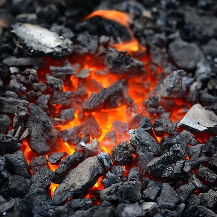 Coal